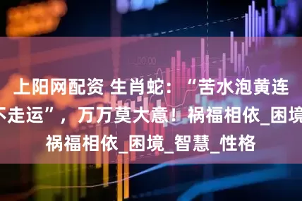 上阳网配资 生肖蛇：“苦水泡黄连”，近期“不走运”，万万莫大意！祸福相依_困境_智慧_性格