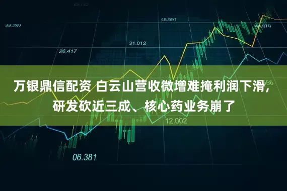 万银鼎信配资 白云山营收微增难掩利润下滑, 研发砍近三成、核心药业务崩了
